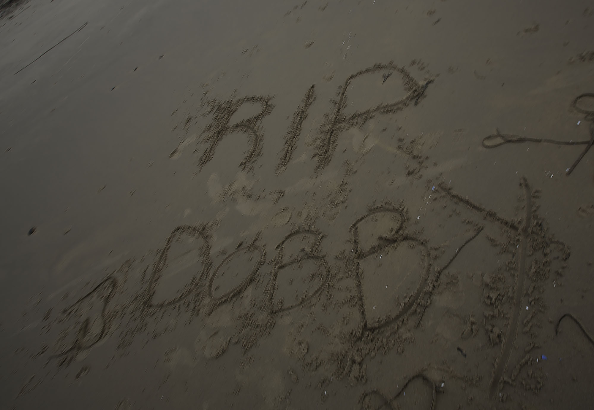 rip dobby2